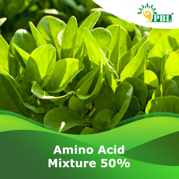 AMINO ACID MIXTURE-50%