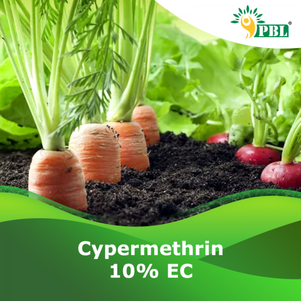 CYPERMETHRIN 10% E.C