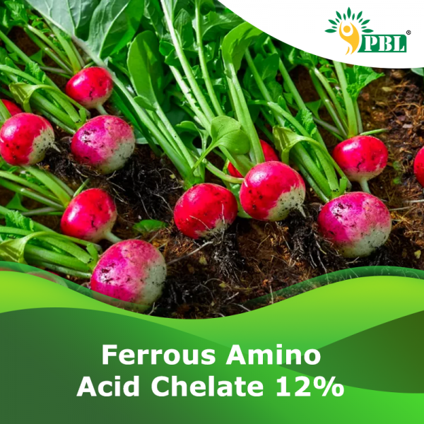 FERROUS AMINO ACID CHELATE 12%