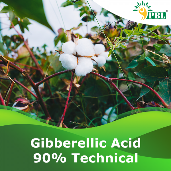 GIBBERELLIC ACID 90% TECHNICAL