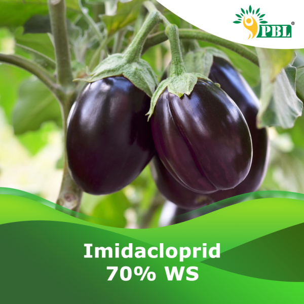 Imidacloprid 70% WS