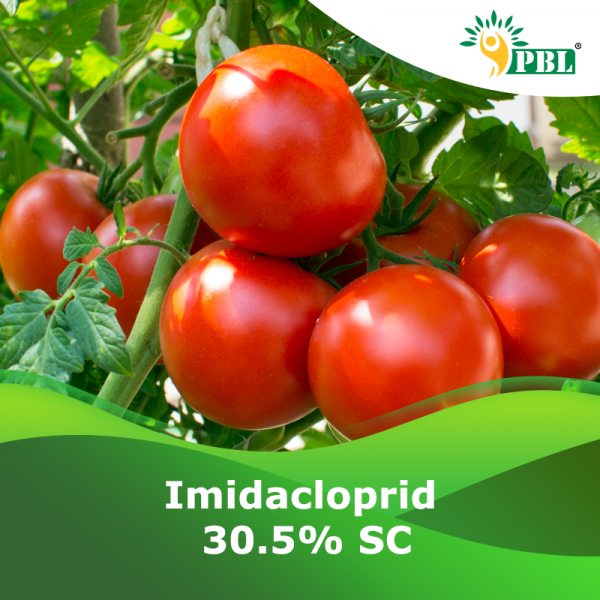 Imidacloprid 30.5% SC