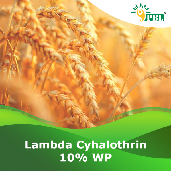 Lambdacyhalothrin 10% WP