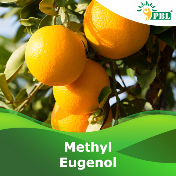 METHYL EUGENOL