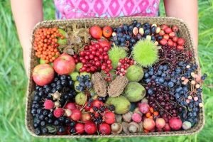 berries