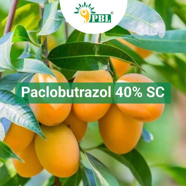 Paclobutrazol 40% SC