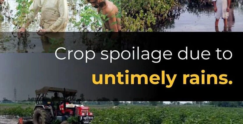crop spoilage