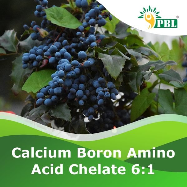 CALCIUM BORON AMINO ACID CHELATE 6;1