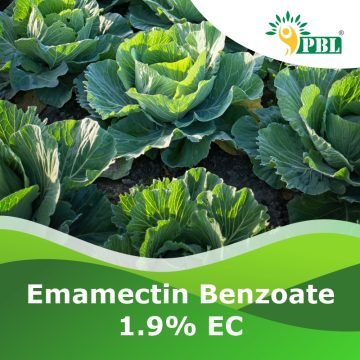 Emamectin Benzoate 1.9% EC Insecticide | B2B Manufacturer - Peptech