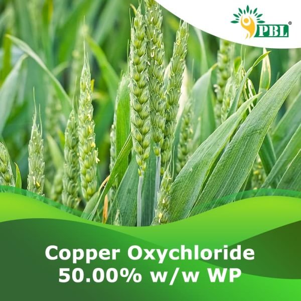 copper oxychloride 50% wp