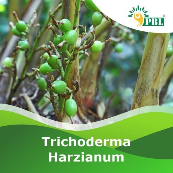 trichoderma harzanium