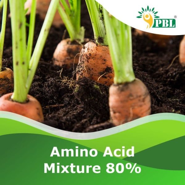 AMINO ACID MIXTURE-80%