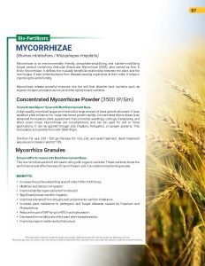 Export Peptech Profile 2023_Page_11