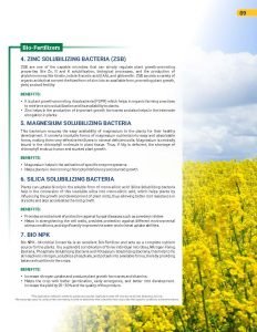 Export Peptech Profile 2023_Page_13