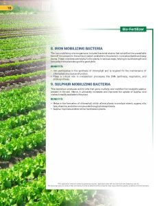 Export Peptech Profile 2023_Page_14