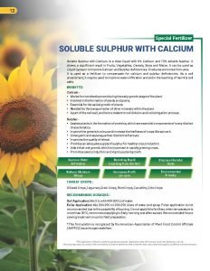 Export Peptech Profile 2023_Page_16