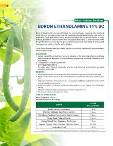 Export Peptech Profile 2023_Page_18