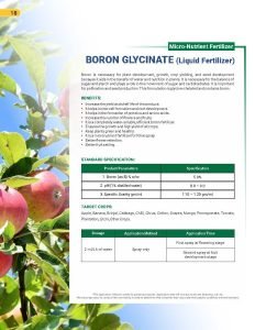 Export Peptech Profile 2023_Page_22