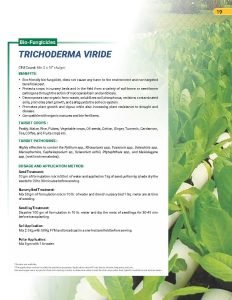 Export Peptech Profile 2023_Page_23