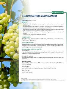 Export Peptech Profile 2023_Page_24