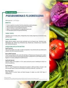 Export Peptech Profile 2023_Page_25