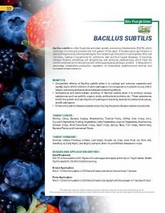 Export Peptech Profile 2023_Page_26