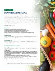 Export Peptech Profile 2023_Page_27