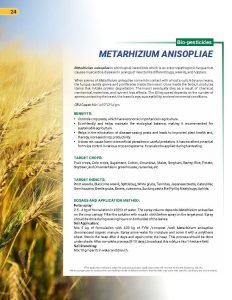 Export Peptech Profile 2023_Page_28