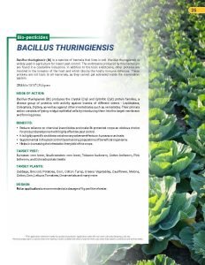 Export Peptech Profile 2023_Page_29