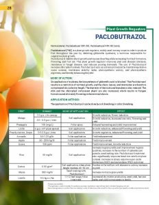 Export Peptech Profile 2023_Page_32