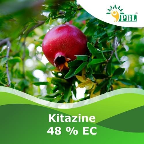 Kitazine 48 % EC