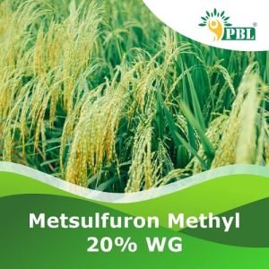 Metsulfuron methyl 20% WG