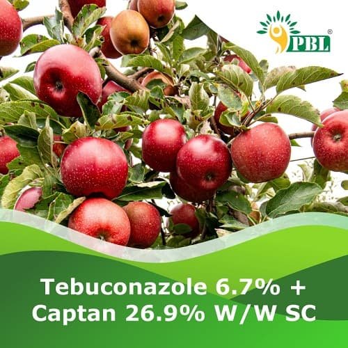 Tebuconazole 6.7% + Captan 26.9% w/w sc - Peptech Biosciences Ltd.