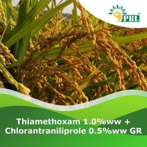 Thiamethoxam 1.0ww GR