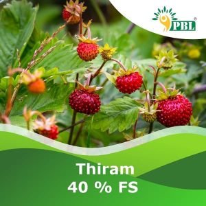 Thiram 40 % FS