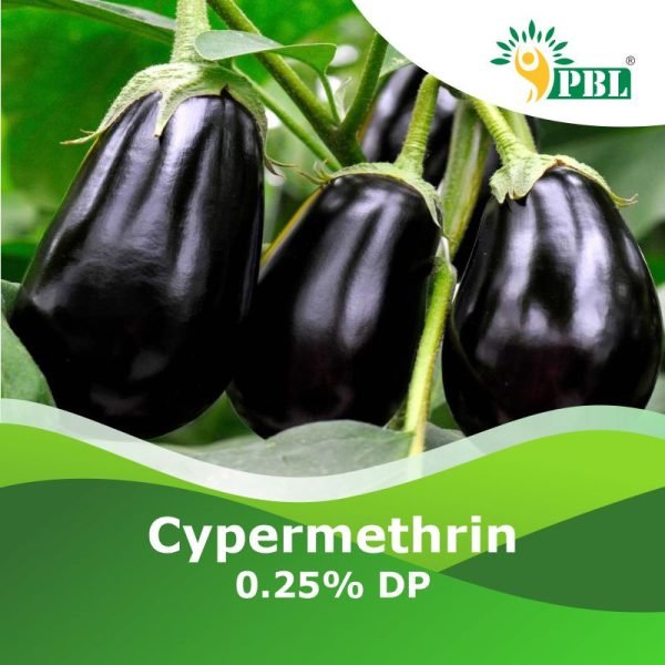 Cypermethrin 0.25% DP