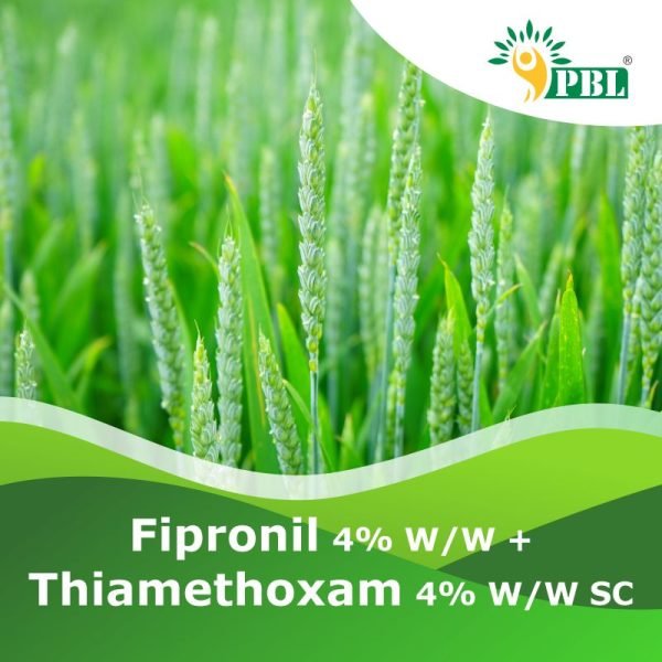 Fipronil 4% w/w + Thiamethoxam 4% w/w SC