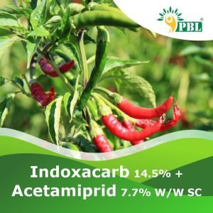 Indoxacarb 14.5% + Acetamiprid 7.7% w/w SC