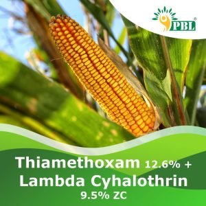 Thiamethoxam 12.6% + Lambda Cyhalothrin 9.5% ZC