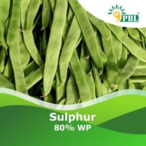 Sulphur 80% WP
