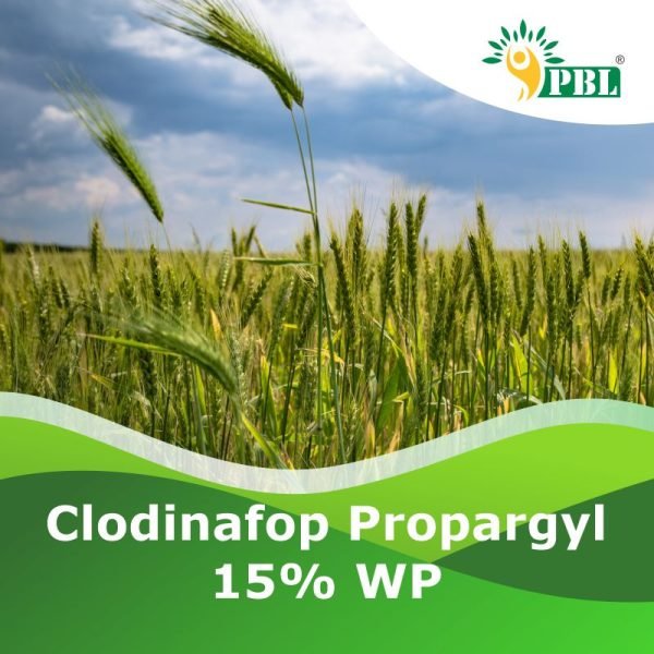 Clodinafop Propargyl 15% WP