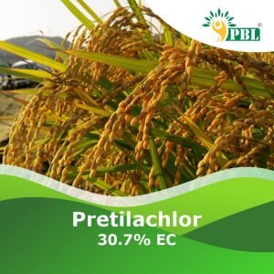 Pretilachlor 30.7% EC