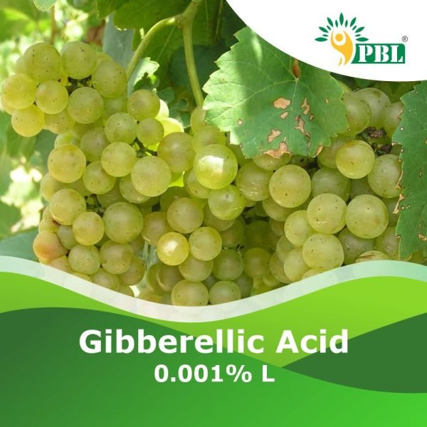 Gibberellic Acid 0.001% L