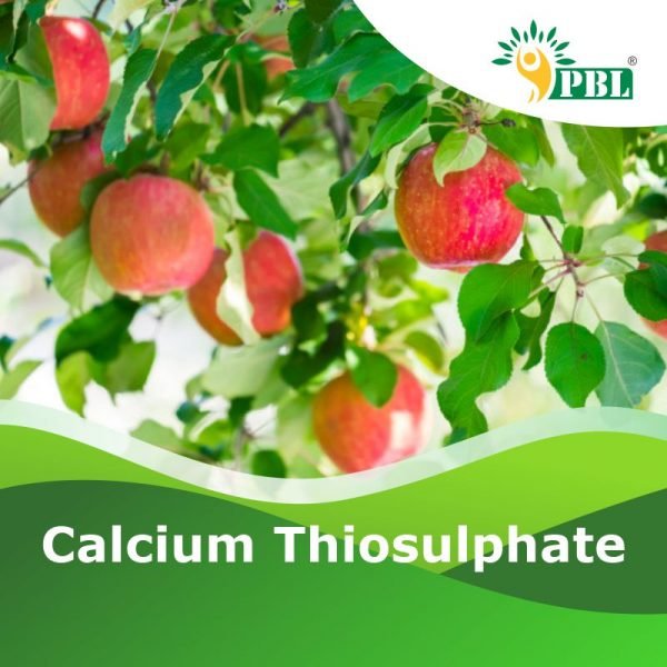 Calcium Thiosulphate