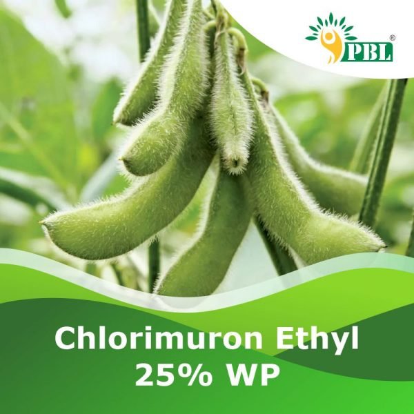 Chlorimuron Ethyl 25% WP