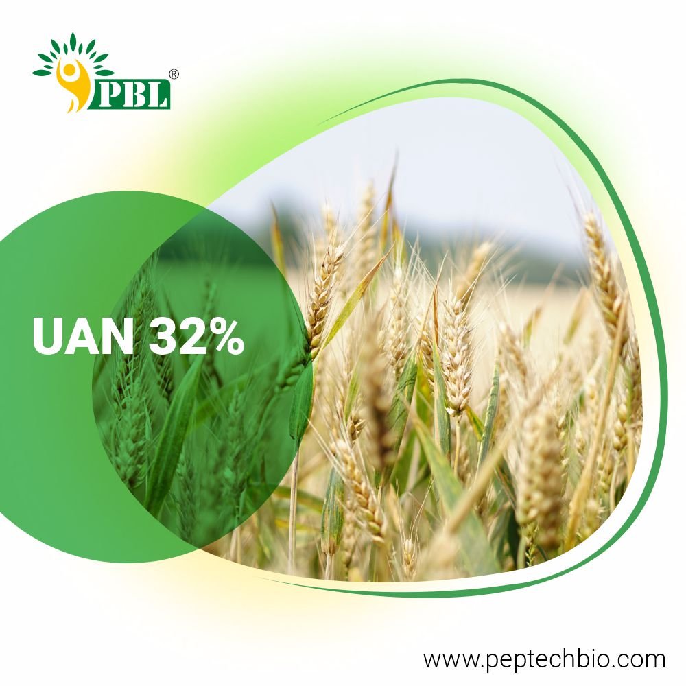urea or uan for wheat ag talk
