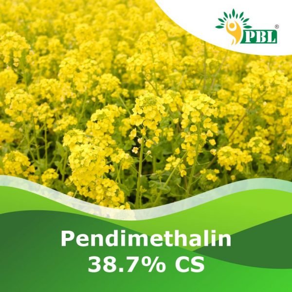 Pendimethalin 38.7% CS
