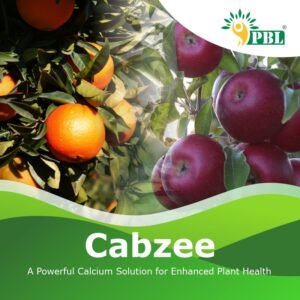 Cabzee Calcium Solution