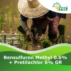 Bensulfuron Methyl 0.6% + Pretilachlor 6% GR