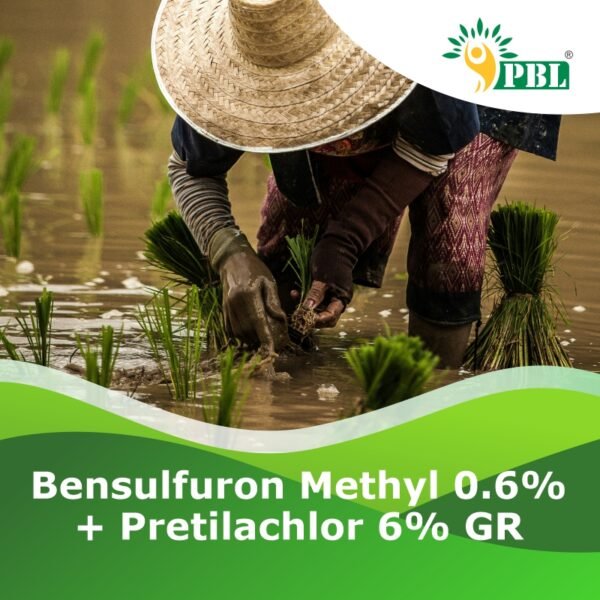 Bensulfuron Methyl 0.6% + Pretilachlor 6% GR